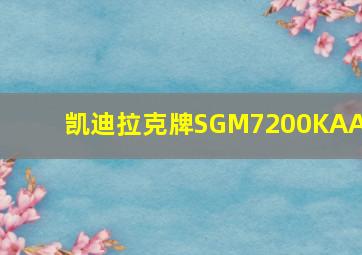 凯迪拉克牌SGM7200KAA3