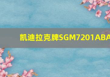 凯迪拉克牌SGM7201ABA9