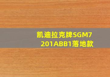 凯迪拉克牌SGM7201ABB1落地款