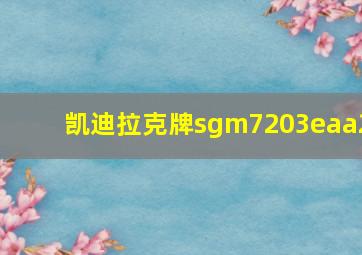 凯迪拉克牌sgm7203eaa2