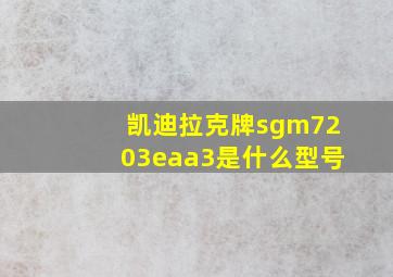 凯迪拉克牌sgm7203eaa3是什么型号