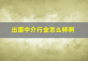 出国中介行业怎么样啊