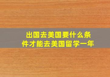 出国去美国要什么条件才能去美国留学一年