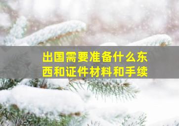 出国需要准备什么东西和证件材料和手续