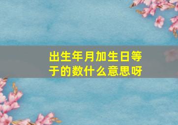 出生年月加生日等于的数什么意思呀