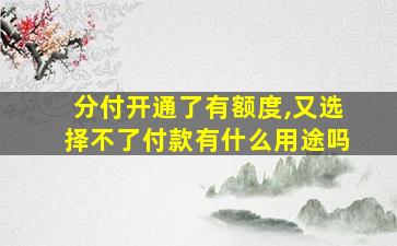 分付开通了有额度,又选择不了付款有什么用途吗