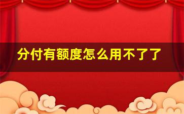 分付有额度怎么用不了了