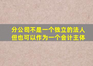 分公司不是一个独立的法人但也可以作为一个会计主体