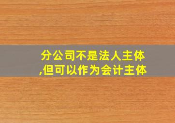 分公司不是法人主体,但可以作为会计主体