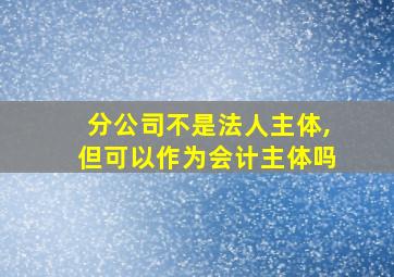 分公司不是法人主体,但可以作为会计主体吗