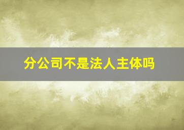 分公司不是法人主体吗