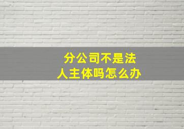 分公司不是法人主体吗怎么办