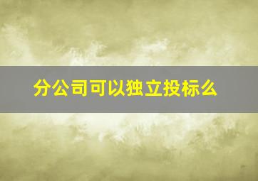 分公司可以独立投标么