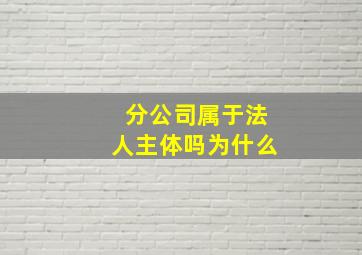 分公司属于法人主体吗为什么