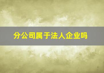 分公司属于法人企业吗