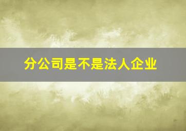 分公司是不是法人企业