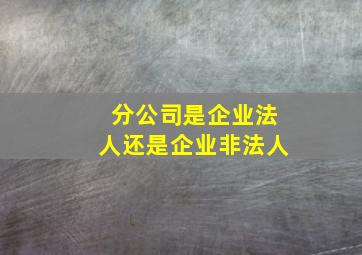 分公司是企业法人还是企业非法人