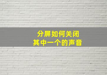 分屏如何关闭其中一个的声音