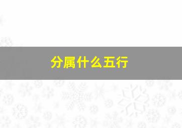 分属什么五行