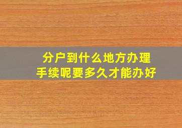 分户到什么地方办理手续呢要多久才能办好