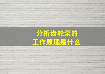 分析齿轮泵的工作原理是什么