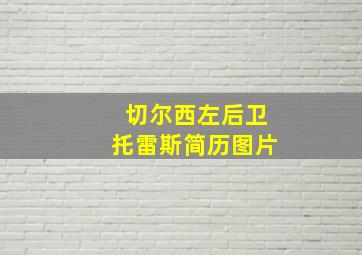 切尔西左后卫托雷斯简历图片