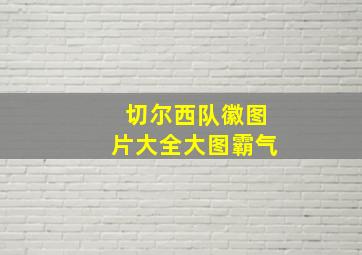 切尔西队徽图片大全大图霸气