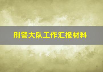 刑警大队工作汇报材料