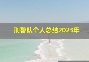 刑警队个人总结2023年