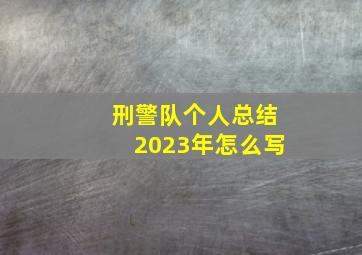 刑警队个人总结2023年怎么写