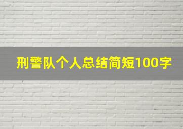 刑警队个人总结简短100字