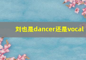 刘也是dancer还是vocal