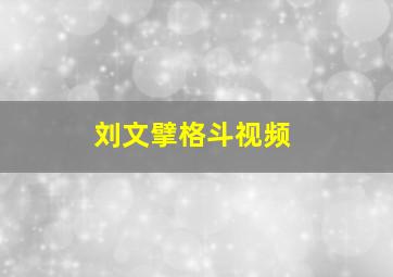 刘文擘格斗视频