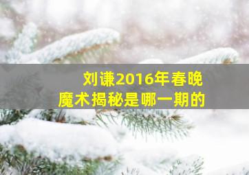 刘谦2016年春晚魔术揭秘是哪一期的