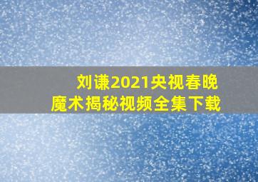 刘谦2021央视春晚魔术揭秘视频全集下载