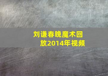 刘谦春晚魔术回放2014年视频