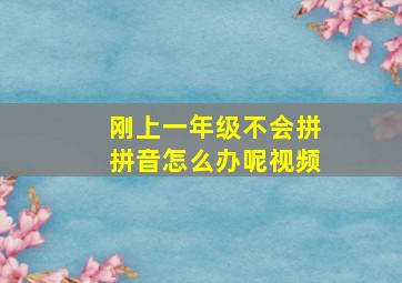 刚上一年级不会拼拼音怎么办呢视频