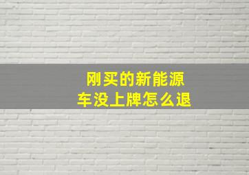 刚买的新能源车没上牌怎么退