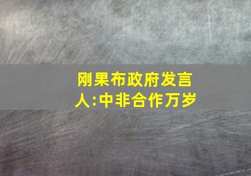 刚果布政府发言人:中非合作万岁