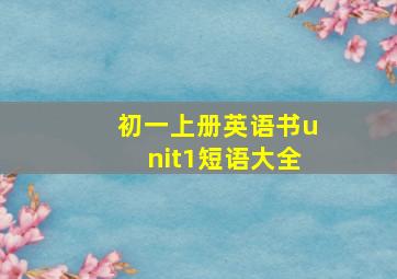 初一上册英语书unit1短语大全