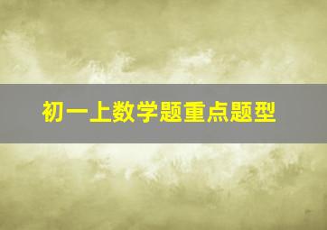 初一上数学题重点题型