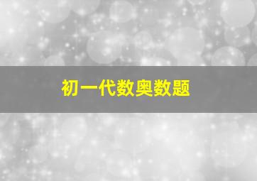 初一代数奥数题