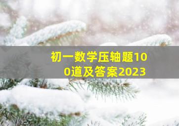 初一数学压轴题100道及答案2023