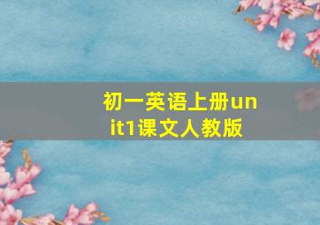 初一英语上册unit1课文人教版