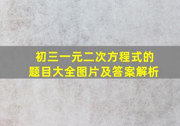 初三一元二次方程式的题目大全图片及答案解析