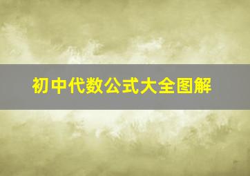 初中代数公式大全图解