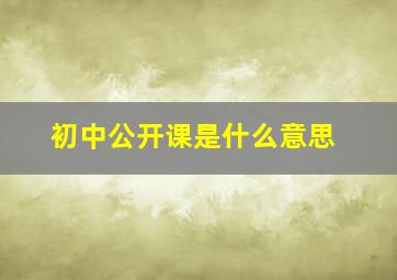 初中公开课是什么意思