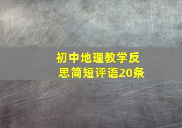 初中地理教学反思简短评语20条