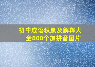 初中成语积累及解释大全800个加拼音图片