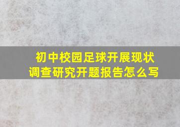 初中校园足球开展现状调查研究开题报告怎么写